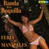 Download track Feria De Manizalez (Instrumental)