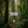 Download track Healing Nature