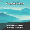 Download track Peaceful Music, Pt. 32