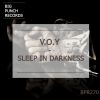 Download track Sleep In Darkness (Original Mix)