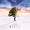 Download track Winter Gates (Mixed)