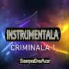 Download track Instrumentala Criminala 1