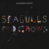 Download track Seagulls And Crows