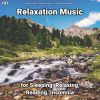 Download track Relaxation Music, Pt. 27