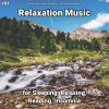 Download track Relaxation Music, Pt. 44