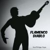 Download track Flamenco Diablo (Extended Mix)