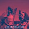 Download track Spectacular Ambiance For Resting Dogs