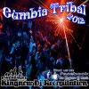 Download track Pa Panamericano (Remix Tribal)