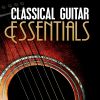 Download track Guitar Concerto No. 1 In A Major, Op. 30: II. Andantino Siciliano