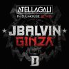 Download track Ginza (Atellagali In Da House Remix)