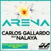 Download track Arena (Radio Edit)