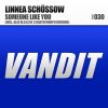 Download track Someone Like You (Original Mix)