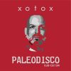 Download track Paleodisco (Hirte Kalbalikum C-Dur Remix)