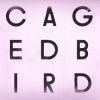 Download track A Caged Bird / Imitations Of Life