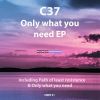 Download track Only What You Need