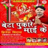 Download track Pujanwa Dhum Dham Se Hoi