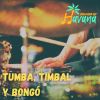 Download track Tumba, Timbal Y Bongó