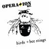 Download track Birds + Bee Stings