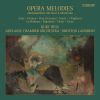 Download track Les Pêcheurs De Perles Je Crois Entendre Encore (Arr. For Cello & Orchestra By V. Williams)