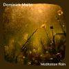 Download track Meditation Rain