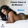 Download track Walrus (Dj Ciaco Original Mix)