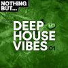 Download track In My House (Nu - Age Dub Mix)