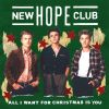 Download track All I Want For Christmas Is You