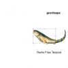 Download track Fish