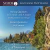 Download track Bottesini: String Quintet No. 2 In E Minor: II. Minuetto. Allegro Moderato