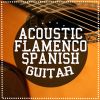 Download track Flamenco Guitar