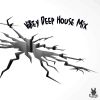 Download track Organ House Mix 2023