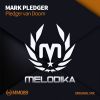 Download track Pledger Van Doom (Original Mix)