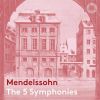 Download track Mendelssohn Symphony No. 1 In C Minor, Op. 11, MWV N 13 III. Menuetto. Allegro Molto
