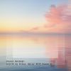 Download track Soothing Ocean Water Stillness, Pt. 6