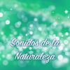 Download track Musica Relajante Con Sonidos De La Naturaleza