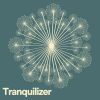 Download track Zany Ambient