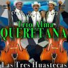 Download track Las Tres Huastecas