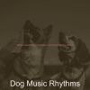 Download track High-Class Solo Piano Jazz - Vibe For Cute Dogs