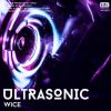 Download track Ultrasonic (Original Mix)