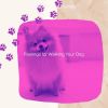 Download track Alluring Moods For Calming Your Pup