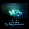 Download track Blue Lotus