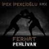 Download track Pehlivan (Ipek Ipekcioglu RMX)