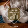 Download track Sound Healing And Xylophone