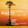 Download track Leichtgesinnte Flattergeister, BWV 181 Lass, Hochster, Uns Zu Allen Zeiten (Chorus)