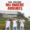 Download track No Quiere Amores