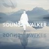 Download track Walk On Water, Touch The Sky (Radio Edit)