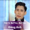 Download track Mưa Lạnh Tàn Canh