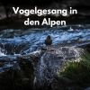 Download track Alpenflügel