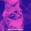 Download track Magical (Sleeping Cats)