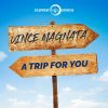 Download track A Trip For You (Radio Edit)